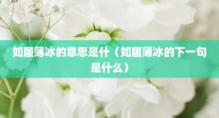 如履薄冰的意思是什（如履薄冰的下一句是什么）