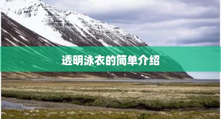 透明泳衣的简单介绍