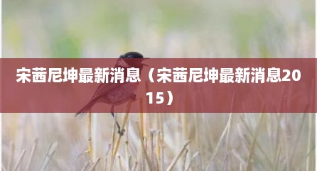 宋茜尼坤最新消息（宋茜尼坤最新消息2015）