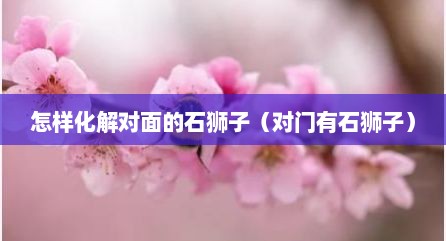 怎样化解对面的石狮子（对门有石狮子）