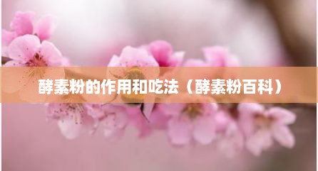 酵素粉的作用和吃法（酵素粉百科）