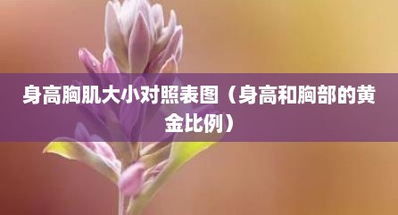 身高胸肌大小对照表图（身高和胸部的黄金比例）