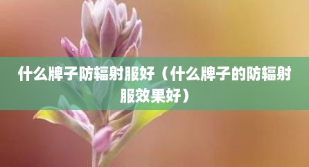 什么牌子防辐射服好（什么牌子的防辐射服效果好）