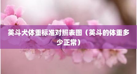 英斗犬体重标准对照表图（英斗的体重多少正常）