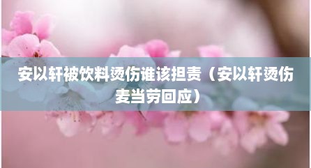 安以轩被饮料烫伤谁该担责（安以轩烫伤 麦当劳回应）