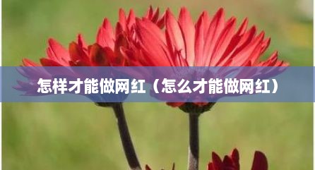 怎样才能做网红（怎么才能做网红）
