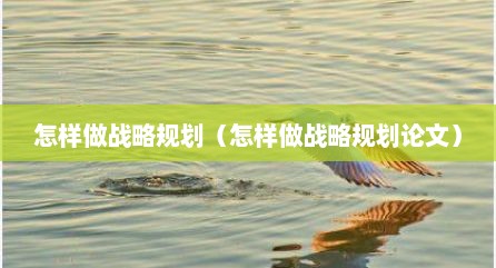 怎样做战略规划（怎样做战略规划论文）