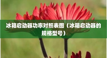 冰箱启动器功率对照表图（冰箱启动器的规格型号）