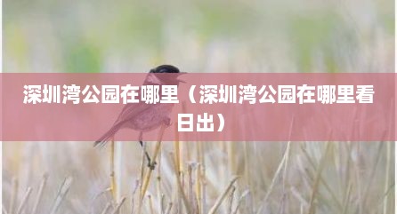 深圳湾公园在哪里（深圳湾公园在哪里看日出）