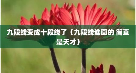 九段线变成十段线了（九段线谁画的 简直是天才）