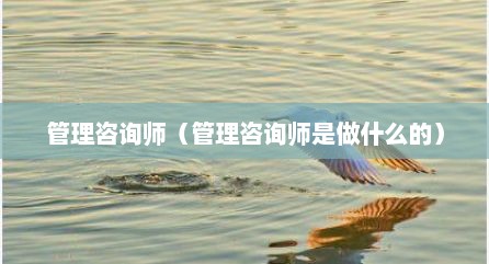 管理咨询师（管理咨询师是做什么的）