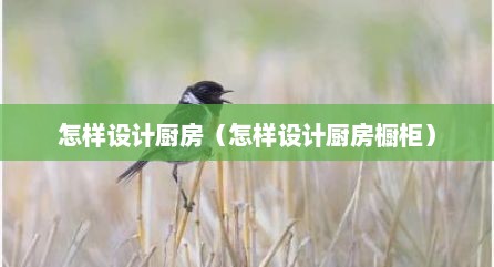 怎样设计厨房（怎样设计厨房橱柜）