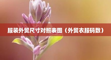 服装外贸尺寸对照表图（外贸衣服码数）