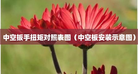 中空扳手扭矩对照表图（中空板安装示意图）