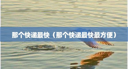 那个快递最快（那个快递最快最方便）