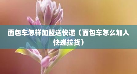 面包车怎样加盟送快递（面包车怎么加入快递拉货）