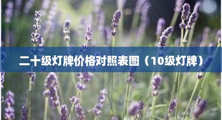 二十级灯牌价格对照表图（10级灯牌）