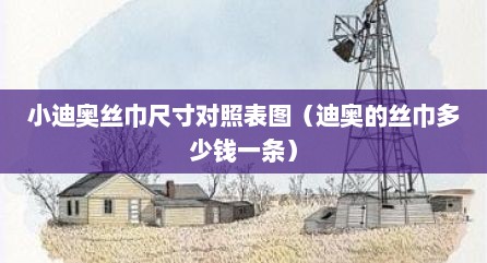 小迪奥丝巾尺寸对照表图（迪奥的丝巾多少钱一条）