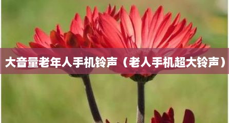 大音量老年人手机铃声（老人手机超大铃声）
