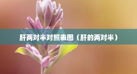 肝两对半对照表图（肝的两对半）