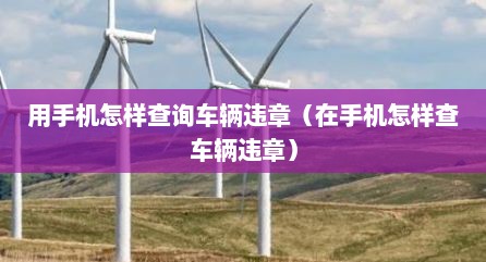 用手机怎样查询车辆违章（在手机怎样查车辆违章）