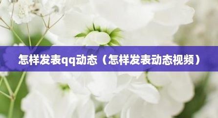 怎样发表qq动态（怎样发表动态视频）