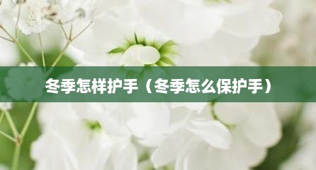 冬季怎样护手（冬季怎么保护手）