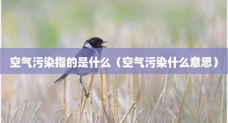空气污染指的是什么（空气污染什么意思）