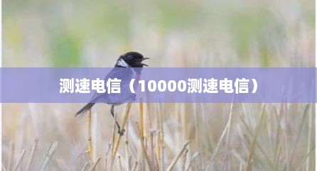 测速电信（10000测速电信）