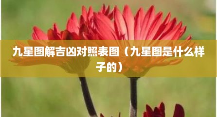 九星图解吉凶对照表图（九星图是什么样子的）