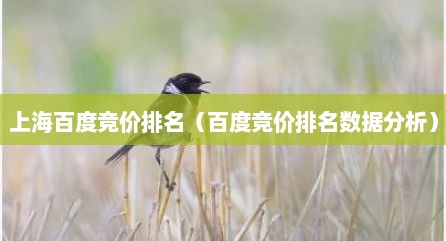 上海百度竞价排名（百度竞价排名数据分析）