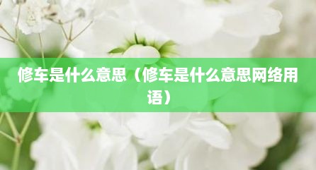 修车是什么意思（修车是什么意思网络用语）