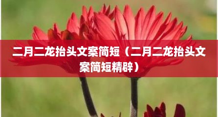 二月二龙抬头文案简短（二月二龙抬头文案简短精辟）