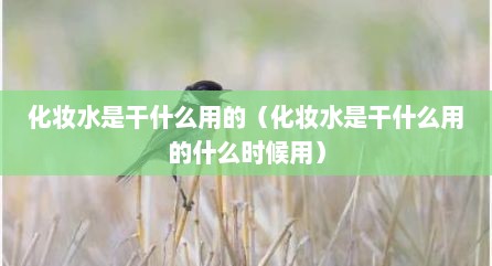 化妆水是干什么用的（化妆水是干什么用的什么时候用）