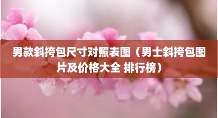 男款斜挎包尺寸对照表图（男士斜挎包图片及价格大全 排行榜）