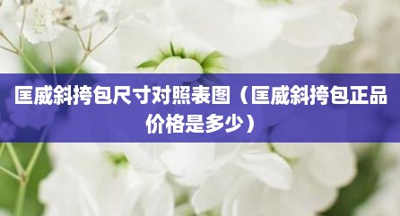 匡威斜挎包尺寸对照表图（匡威斜挎包正品价格是多少）