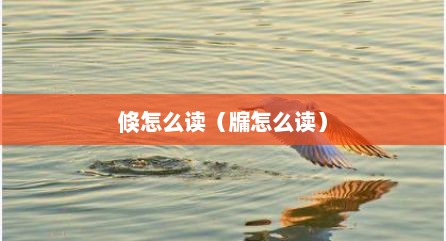 倏怎么读（牖怎么读）