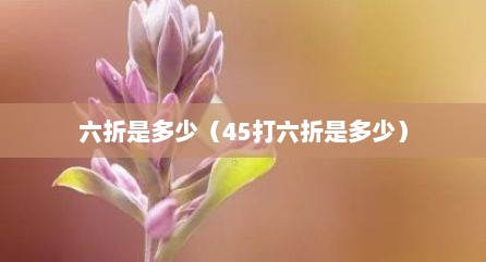 六折是多少（45打六折是多少）