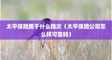 太平保险属于什么档次（太平保险公司怎么样可靠吗）
