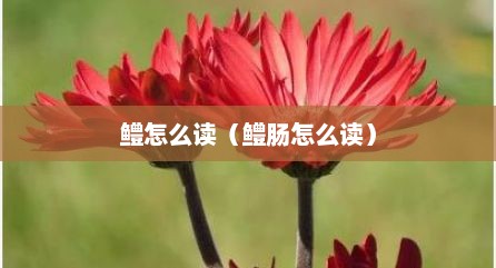 鳢怎么读（鳢肠怎么读）