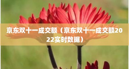 京东双十一成交额（京东双十一成交额2022实时数据）