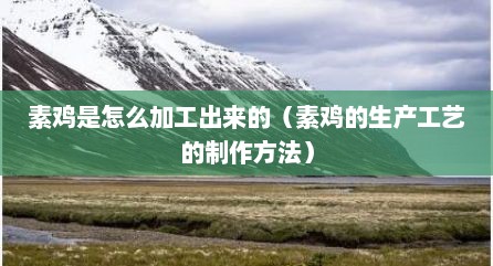 素鸡是怎么加工出来的（素鸡的生产工艺的制作方法）