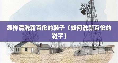 怎样清洗新百伦的鞋子（如何洗新百伦的鞋子）