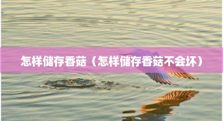 怎样储存香菇（怎样储存香菇不会坏）