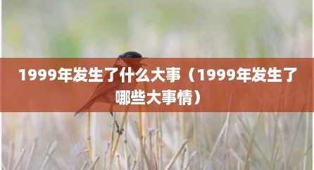 1999年发生了什么大事（1999年发生了哪些大事情）