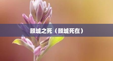 顾城之死（顾城死在）
