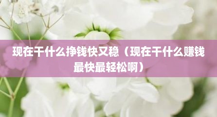 现在干什么挣钱快又稳（现在干什么赚钱最快最轻松啊）
