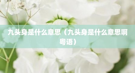 九头身是什么意思（九头身是什么意思啊粤语）