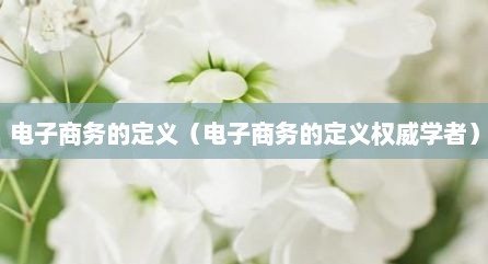 电子商务的定义（电子商务的定义权威学者）