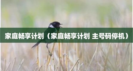 家庭畅享计划（家庭畅享计划 主号码停机）